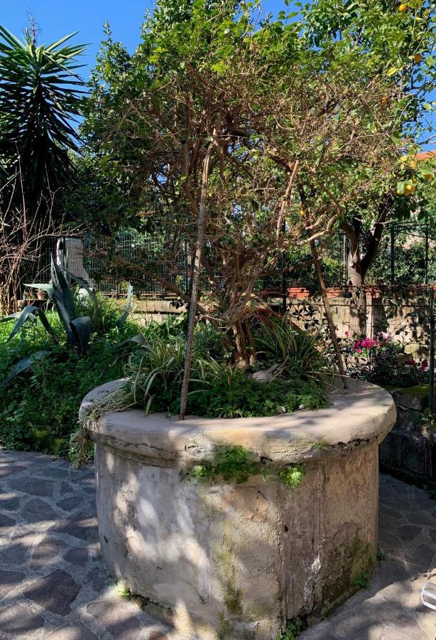 Itaca B&B Piano di Sorrento Ngoại thất bức ảnh