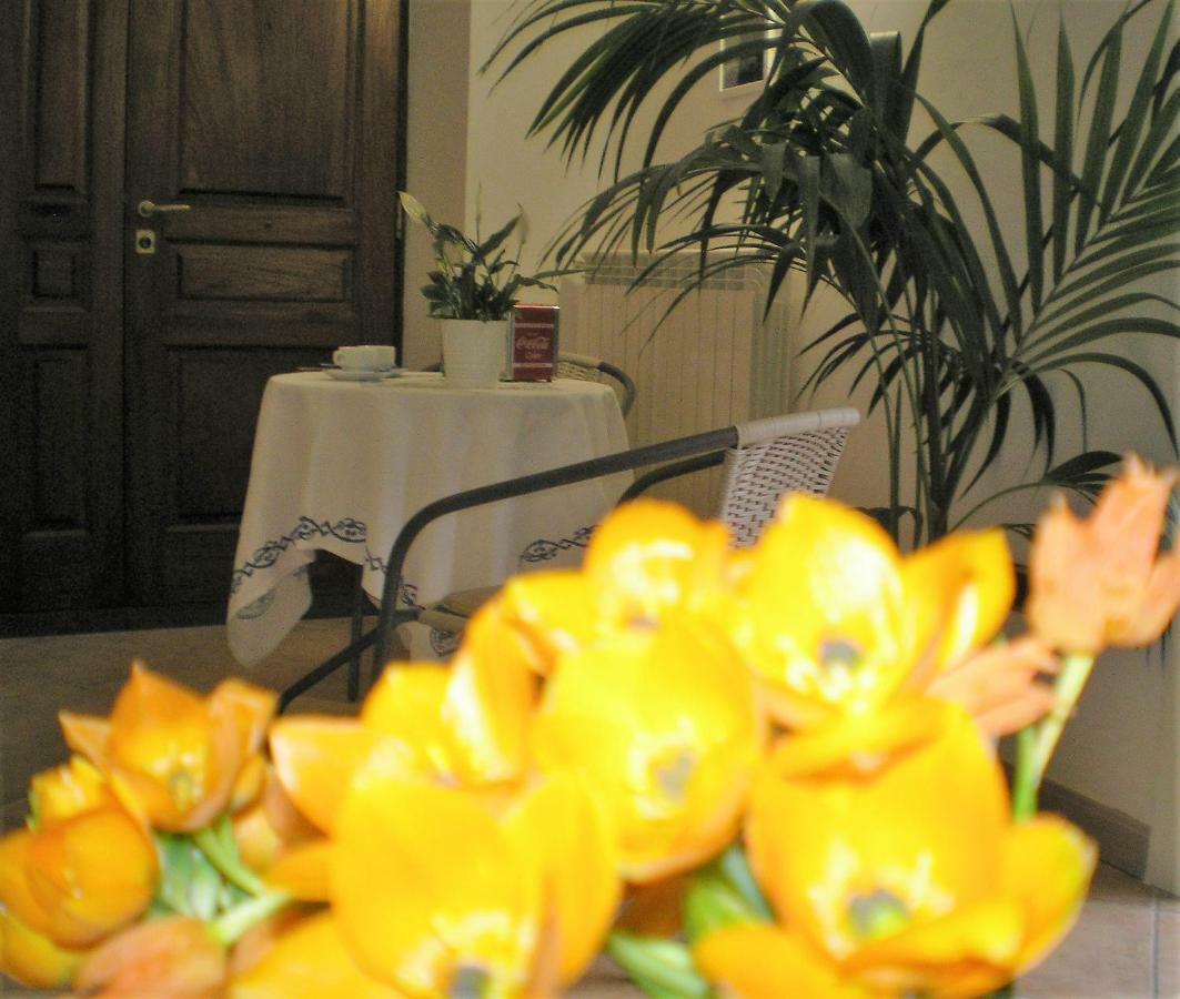 Itaca B&B Piano di Sorrento Ngoại thất bức ảnh