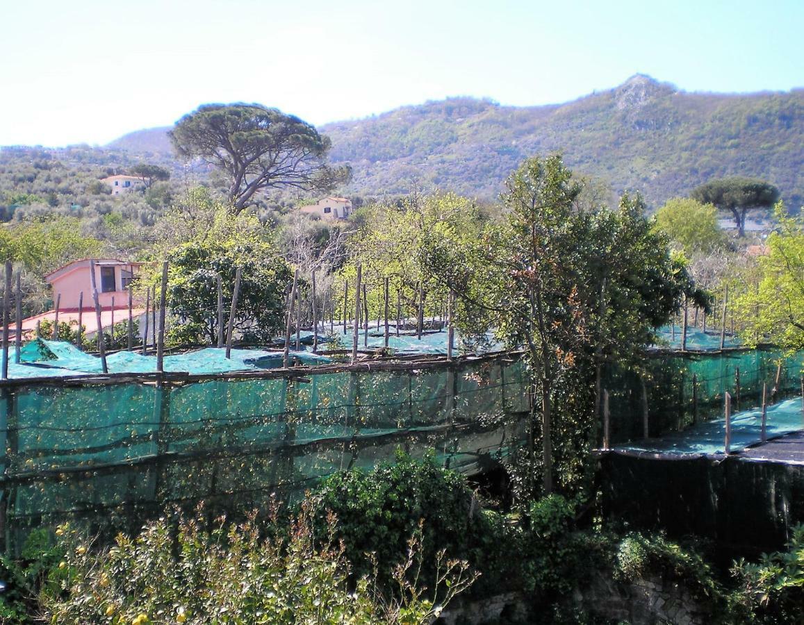 Itaca B&B Piano di Sorrento Ngoại thất bức ảnh