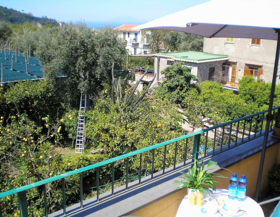 Itaca B&B Piano di Sorrento Ngoại thất bức ảnh